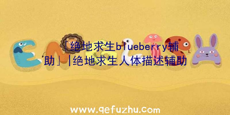 「绝地求生blueberry辅助」|绝地求生人体描述辅助